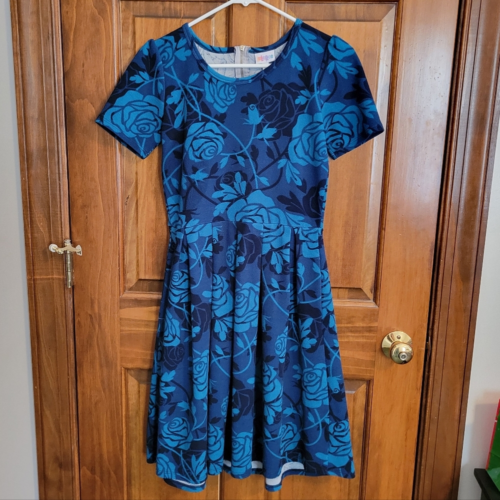 EUC Unicorn Disney Roses LuLaRoe Amelia Dress